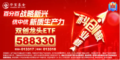 怒涨11%！创业板指刷新历史最大涨幅！硬科技宽基——双创龙头ETF（588330）盘中飙涨超7%  第5张