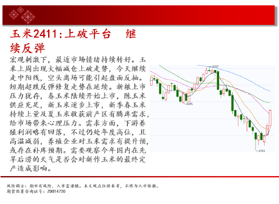 中天期货:玻璃涨停涨停 棕榈略有减速  第7张